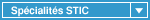 STIC